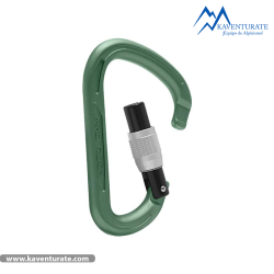 Mosqueton Hulk HMS Screw Gate